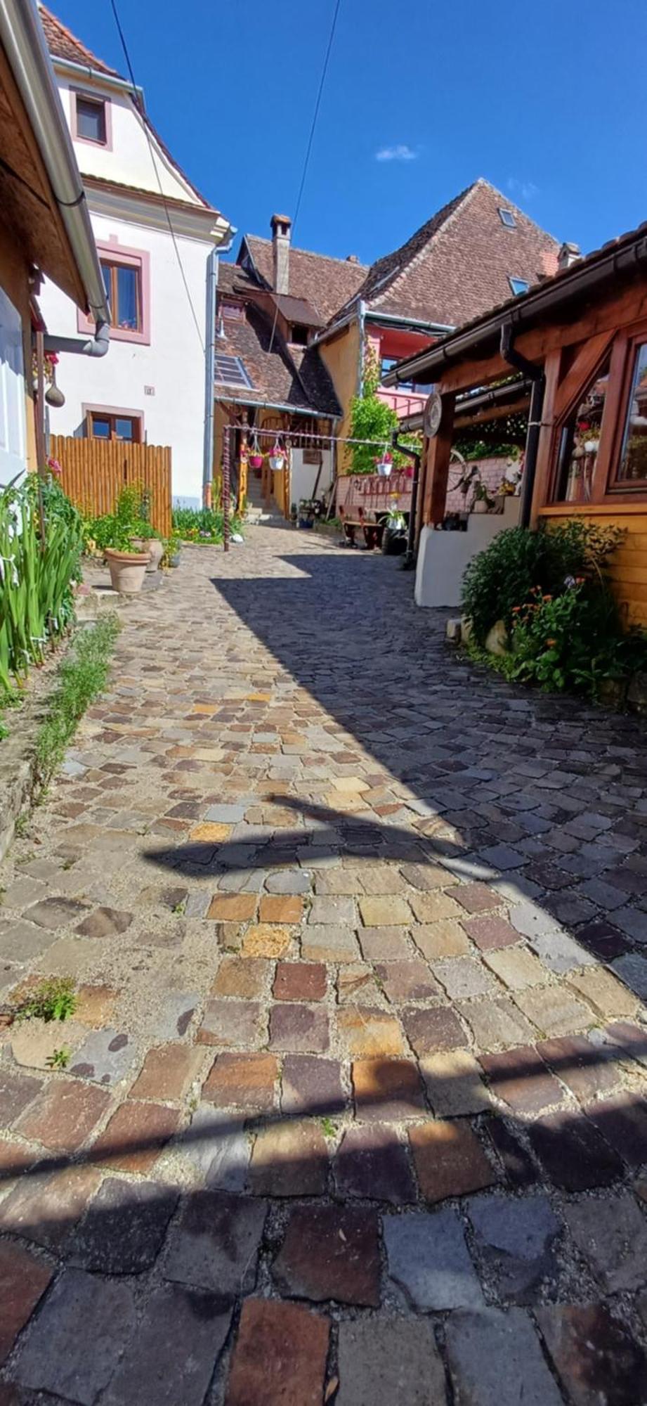Casa Marcus Daire Sighişoara Dış mekan fotoğraf