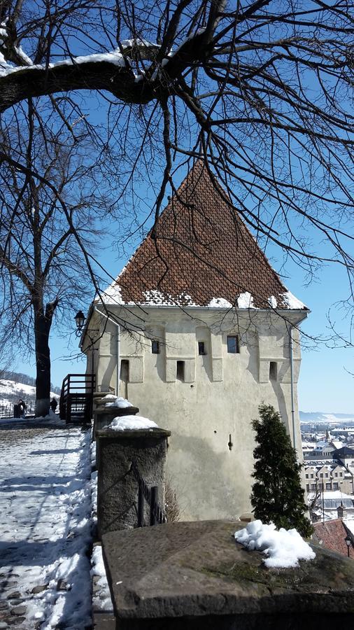 Casa Marcus Daire Sighişoara Dış mekan fotoğraf