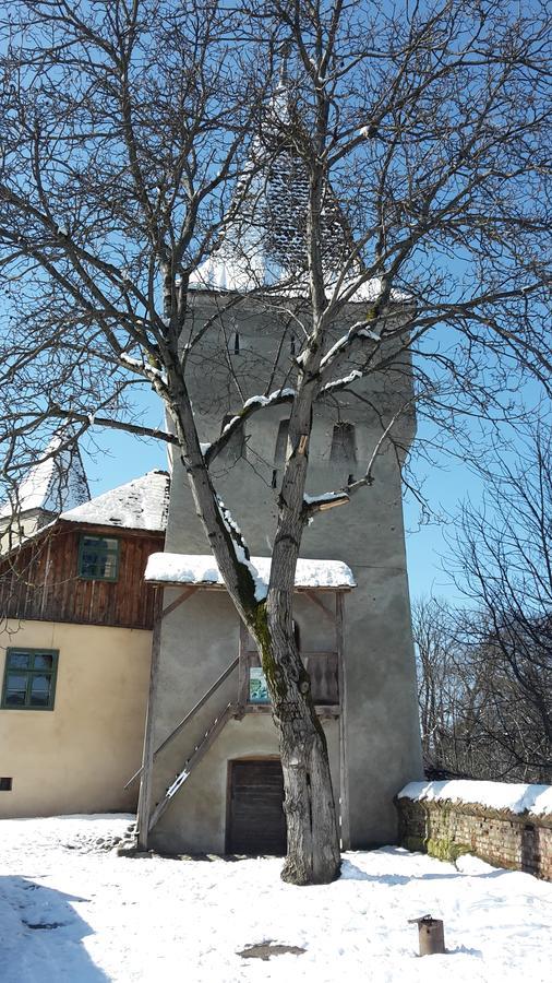 Casa Marcus Daire Sighişoara Dış mekan fotoğraf